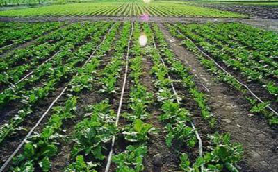 管線放樣提示：