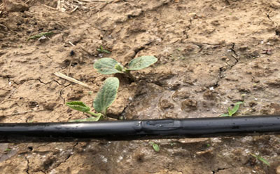 滴灌水阻管連接