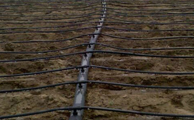 滴灌帶鋪設(shè) 滴灌帶鋪設(shè)